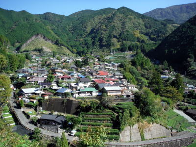 有東木の全景