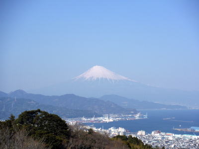 日本平から見た富士山