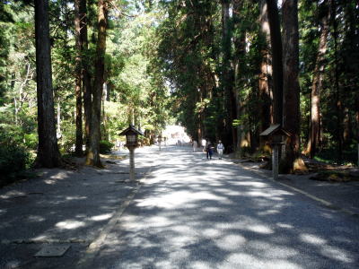 小国神社の参道