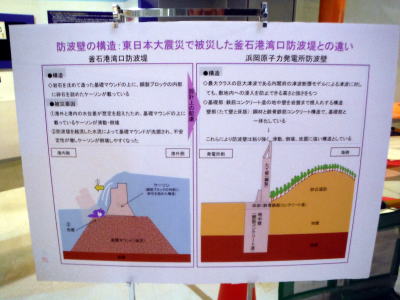 浜岡原発は平気