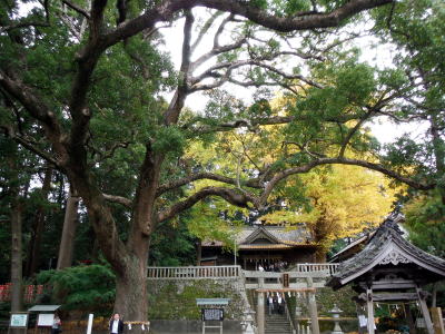 事任神社