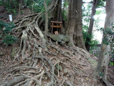 事任神社奥の方