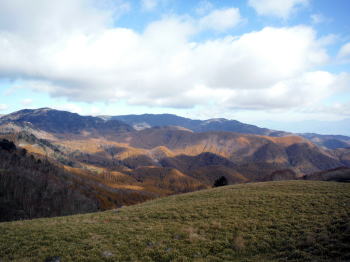 秋の美ヶ原高原