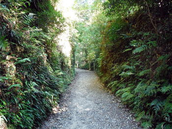 油山寺山道