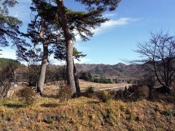 高根の風景