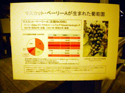 マスカットベリーAが誕生した場所