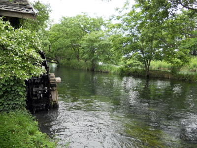 大王わさび農園の水車小屋