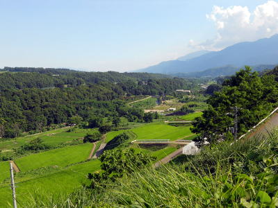 夏の山梨