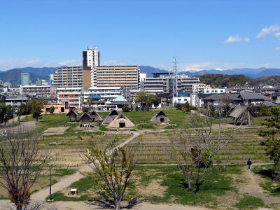 登呂遺跡全景