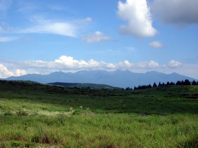 夏の霧ヶ峰