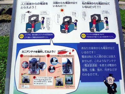 電波を発する人体