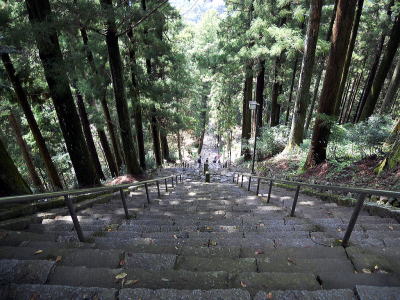 久遠寺の階段上から
