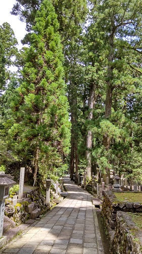 奥の院参道